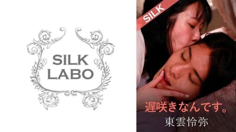 我是一个大器晚成的人。 美波梢 东云怜弥