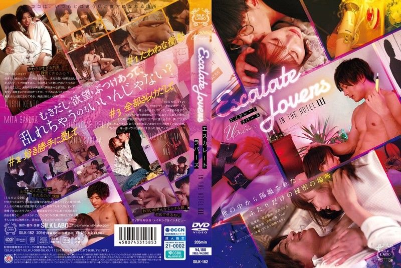 逐渐高涨的恋人IN THE HOTEL 3